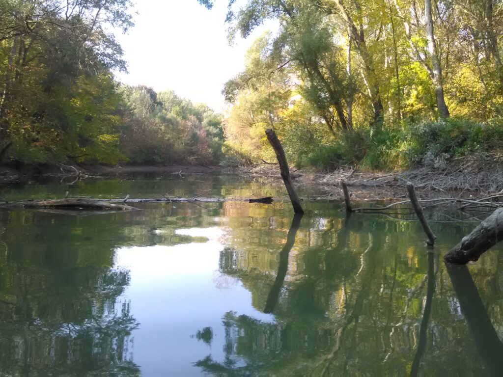 img 20181013 125351